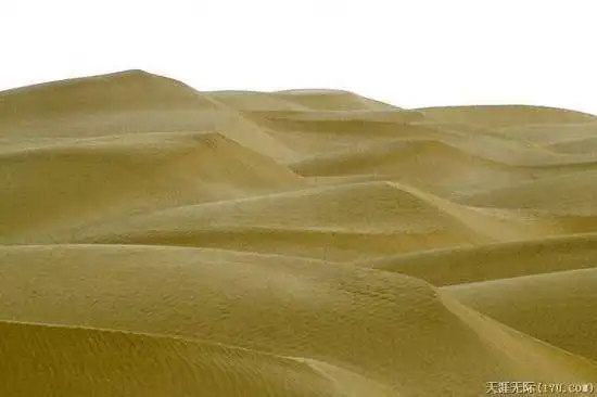 穿越塔克拉玛干（中）