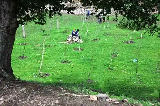 新彊那拉提草原掠影