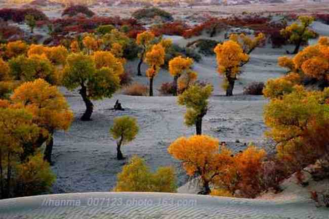 新疆风光,图十二