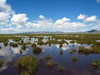 到青葱草原策马扬鞭,图十五