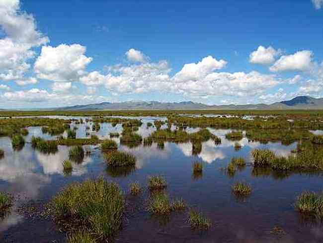 到青葱草原策马扬鞭,图十五