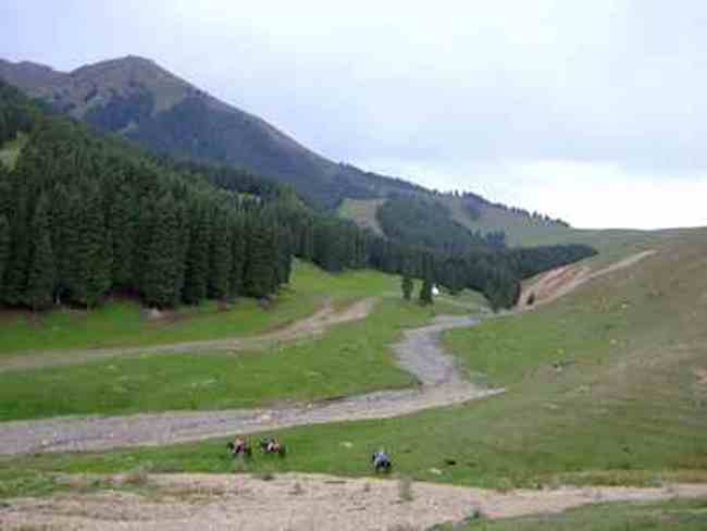 新疆游記——南山牧場(chǎng),圖四