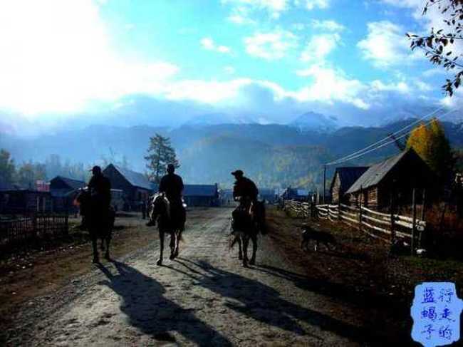 新疆圆舞曲7,图十三