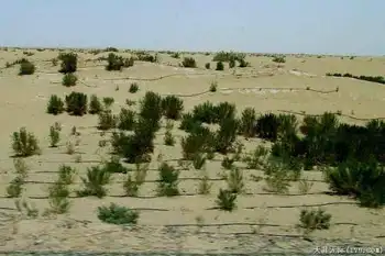 穿越塔克拉玛干（下）,图八