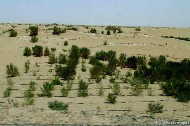 穿越塔克拉玛干（下）,图八