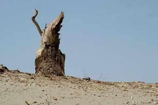 穿越塔克拉玛干（中）