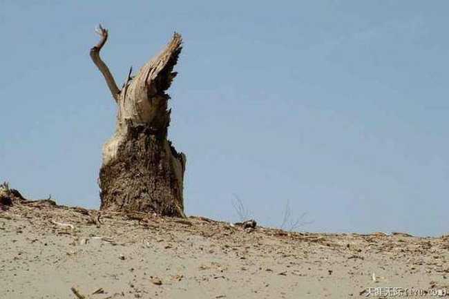 穿越塔克拉瑪干(中),圖二十