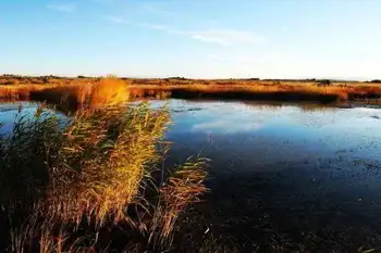 新疆行---布尔津,图三