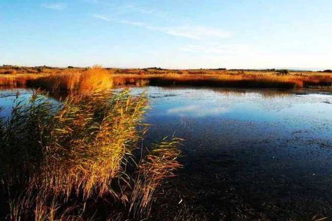 新疆行---布尔津,图三