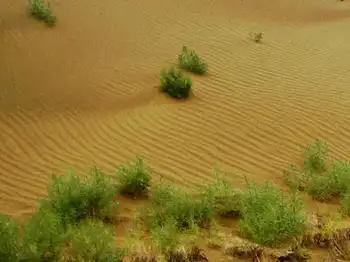 信马游“疆”D9——风雨兼程,图三