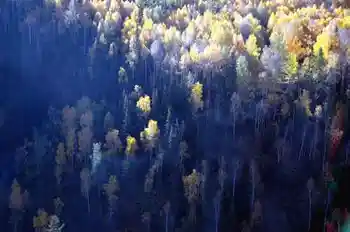 新疆行吟(７)：童话般的禾木村,图十