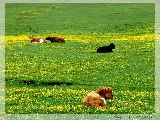 起飞----着陆《赛里木湖》