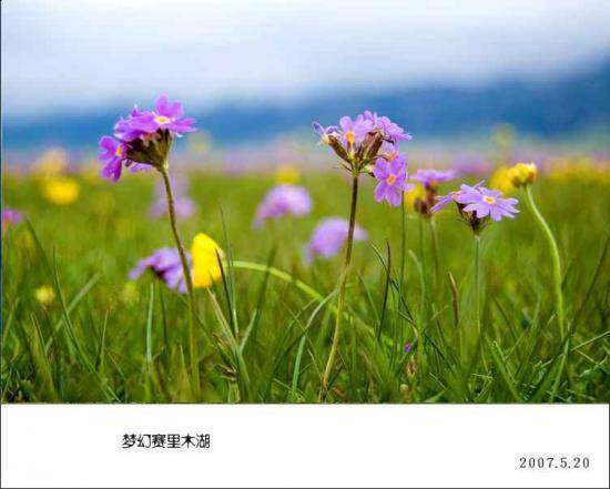 梦幻赛里木湖,图三