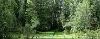 禾木一个童话世界（北疆纪行）,图十四