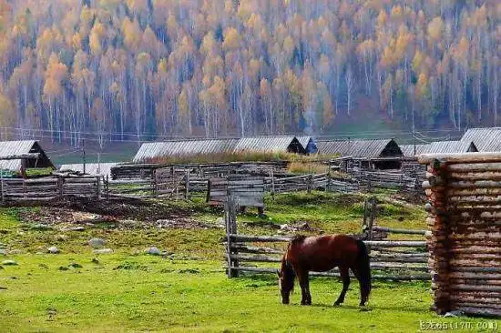 万里追寻,西域绝美的浪漫印象