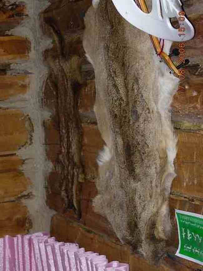 COLORFULDAYSINMYHEART-美丽的国之边境：白哈巴,图十七