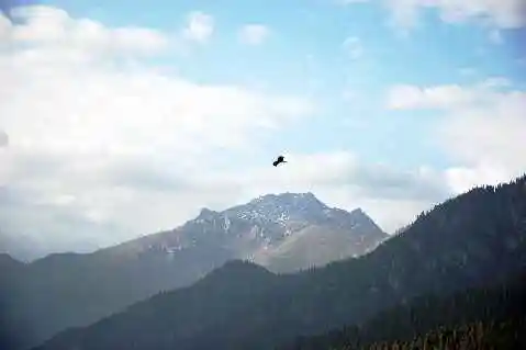 (北疆之七)天池