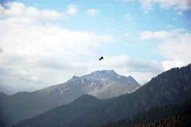 (北疆之七)天池,图四