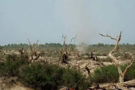 穿越塔克拉玛干（中）