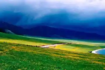 塞里木湖，花开时节,图七