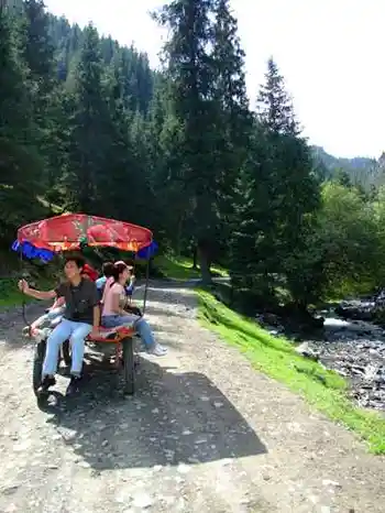 新疆游记——南山牧场,图二