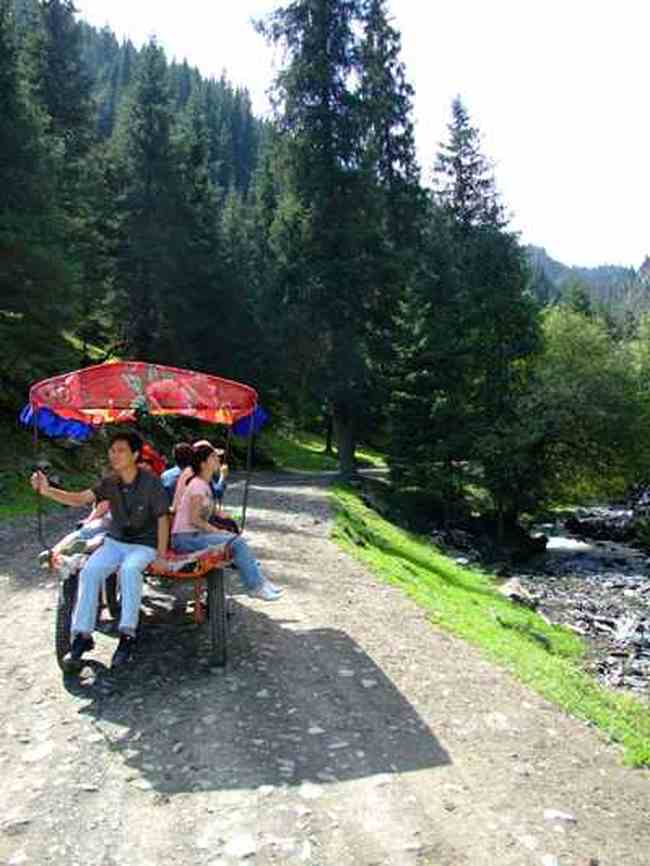 新疆游記——南山牧場(chǎng),圖二