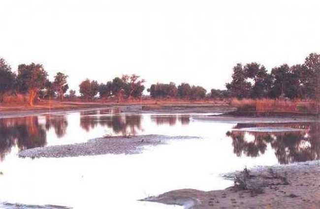 苍茫西北，我再难以忘情的地方！（二）,图五