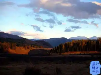 新疆圆舞曲7,图三