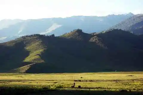 (北疆之二)贾登峪的夜与晨