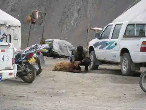 新疆，心无疆—中国新疆天山1号冰川、南山