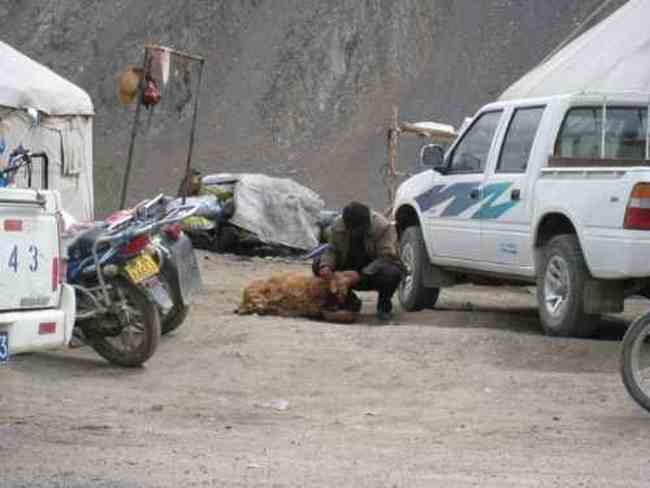 新疆，心无疆—中国新疆天山1号冰川、南山,图十