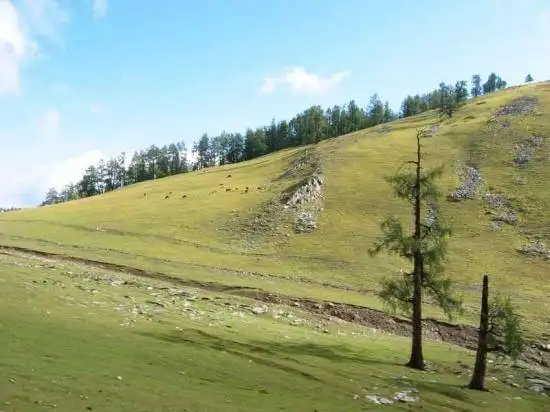 天堂很远喀纳斯很近