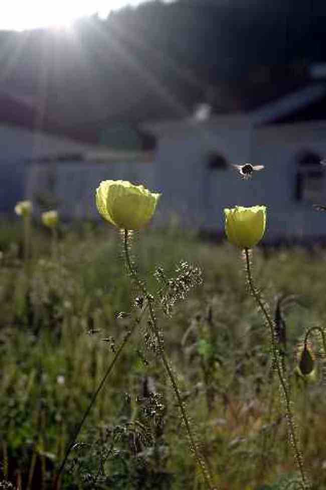(北疆之二)贾登峪的夜与晨,图二