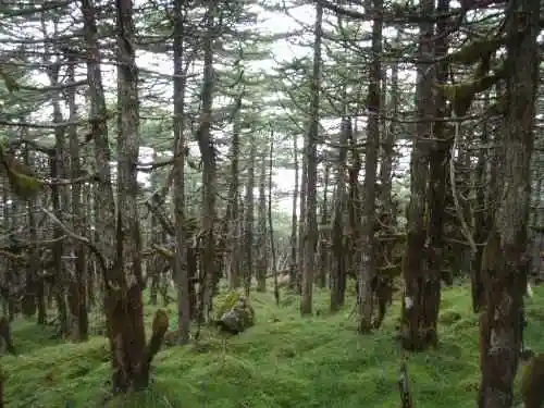 爱上行走的感觉冰晶顶－桦林湾穿越记行