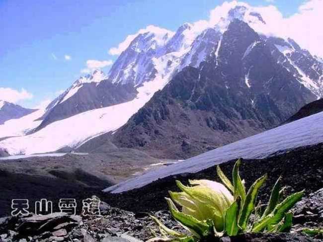 乌鲁木齐，开在心底的沙漠玫瑰……,图五