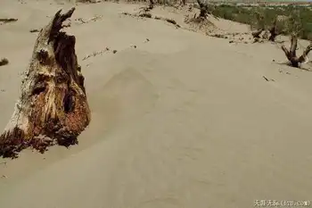穿越塔克拉玛干（中）,图二十一