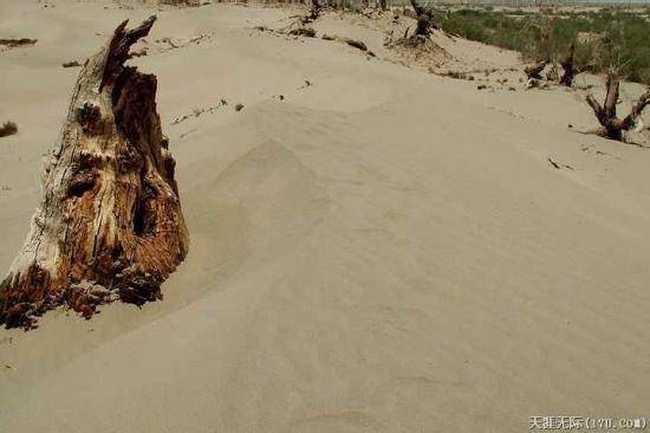 穿越塔克拉瑪干(中),圖二十一