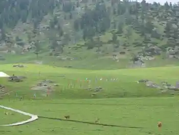 喀纳斯印象,图四