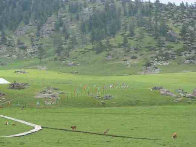 喀納斯印象,圖四