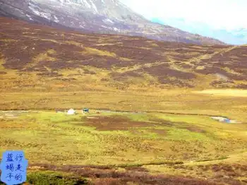 新疆圆舞曲5,图五