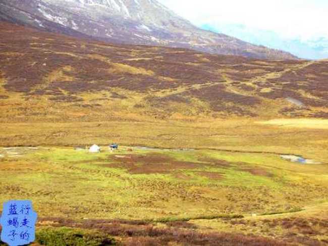 新疆圓舞曲5,圖五