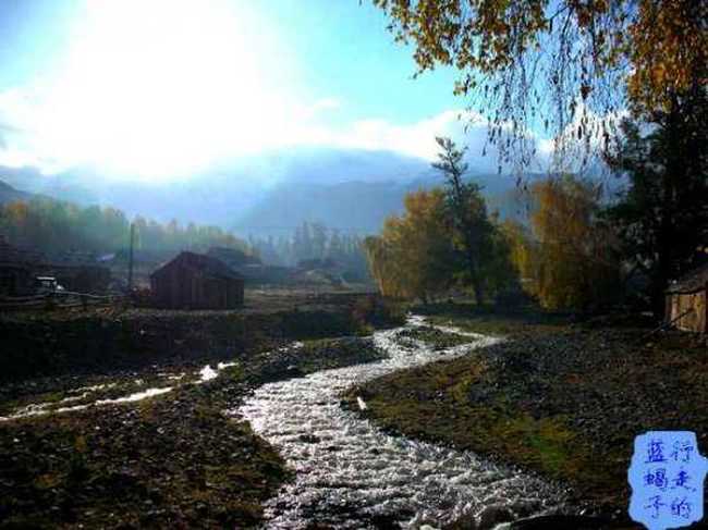 新疆圆舞曲7,图七