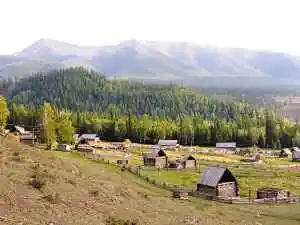 天高云淡彩叶飘飞——秋日的新疆,图二