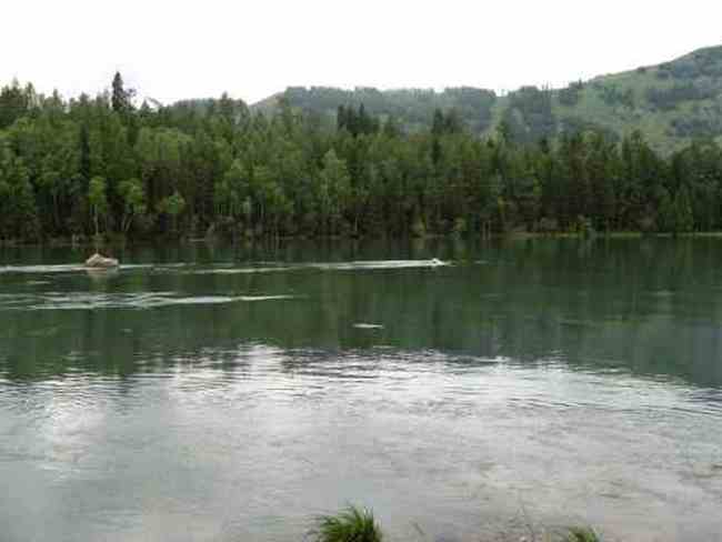 喀納斯印象,圖十九