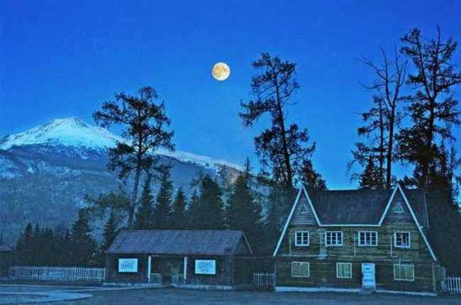 喀纳斯金秋掠影记,图六