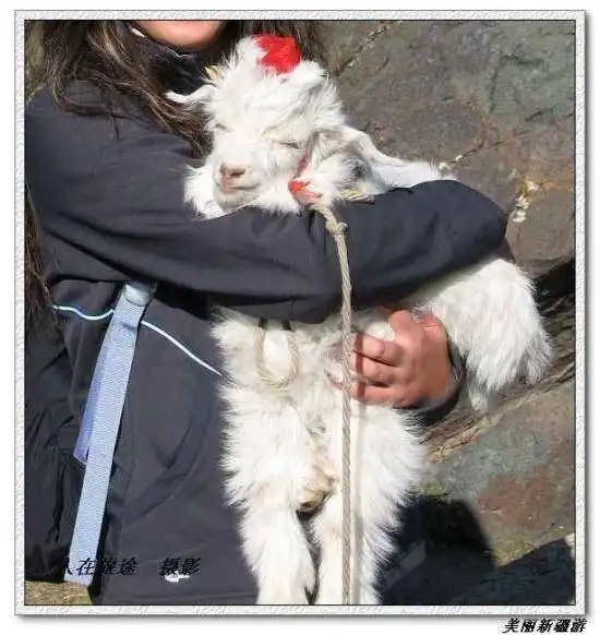 天山天池－－美丽新疆游