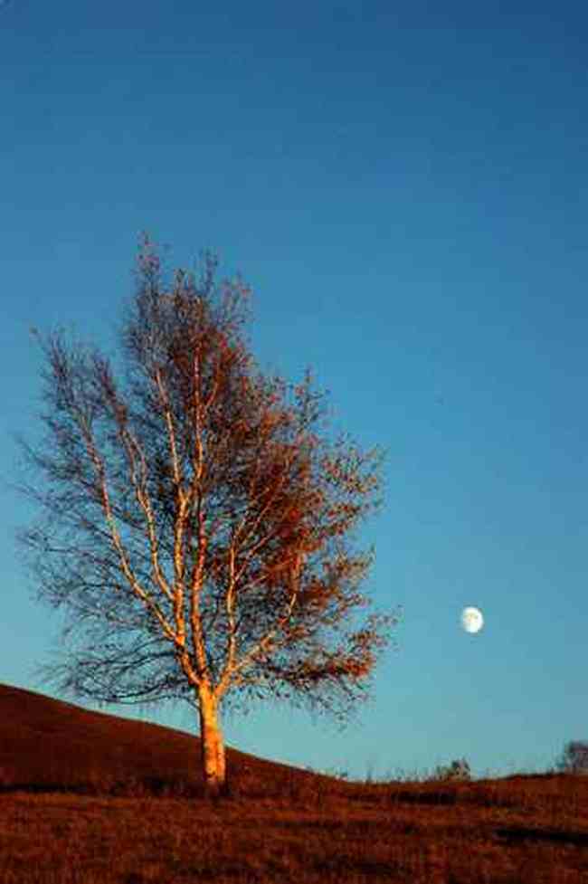 秋行坝上，感受幸福的另一种定义!!,图二