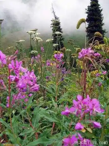 秋天最适合去新疆,图八