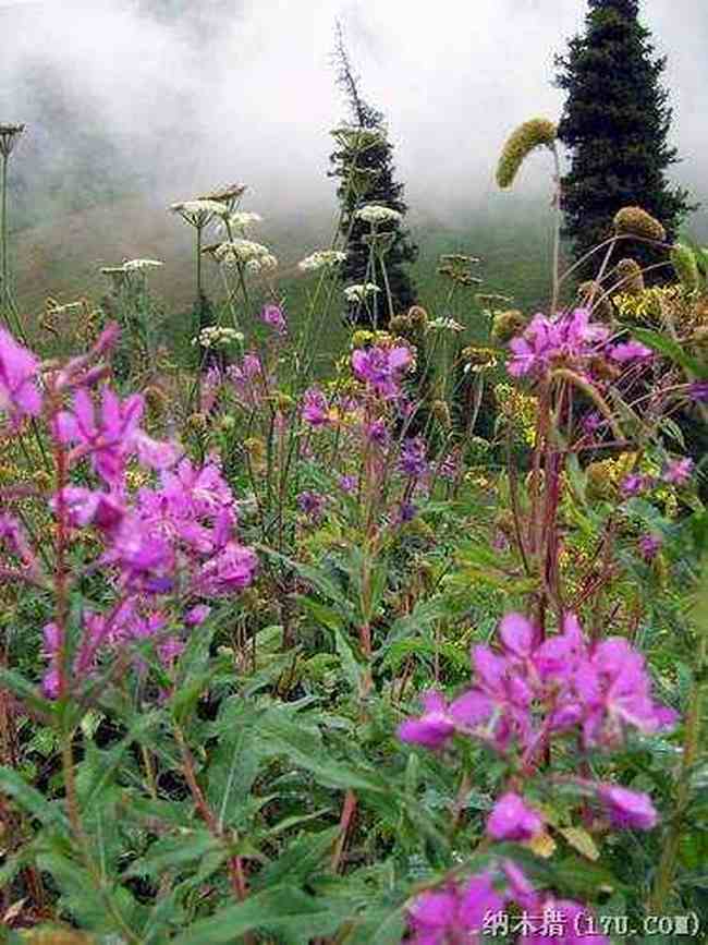 秋天最适合去新疆,图八