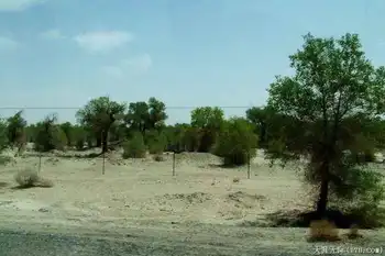 穿越塔克拉玛干（上）,图二十二